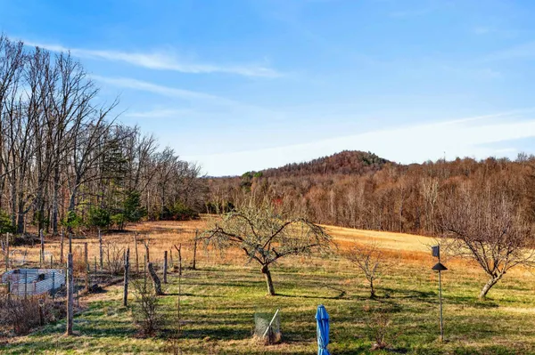 $549,490 | 85 Meadow Court, Roseland, VA 22967