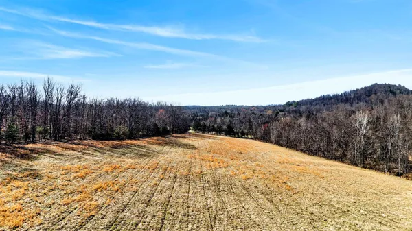 $549,490 | 85 Meadow Court, Roseland, VA 22967