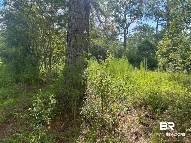 10818 John Bloch Road Elberta, AL 36530 - Photo 14 of 23 View of landscape