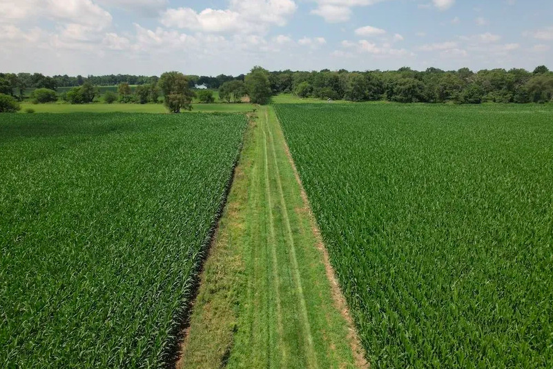 a view of a lake with a big yard