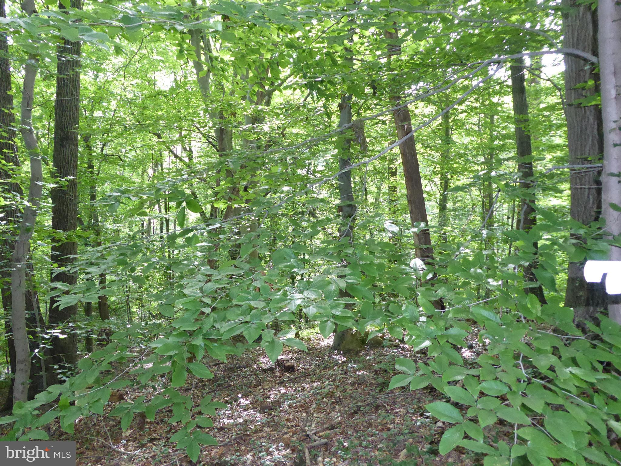 201 Parsons Road Landenberg, PA 19350 - Photo 30 of 32