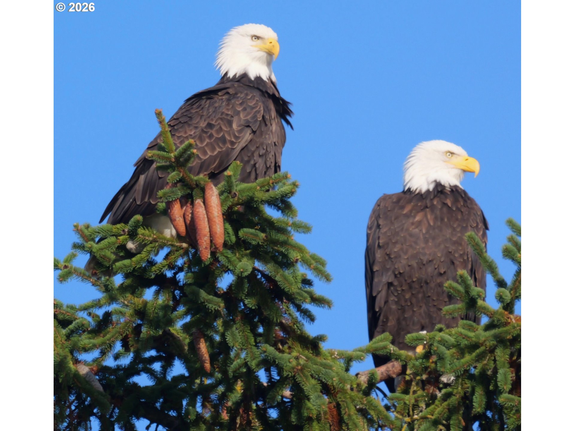 34326 Johnson's Landing Road, Unit A5 Scappoose, OR 97056 - Photo 35 of 36