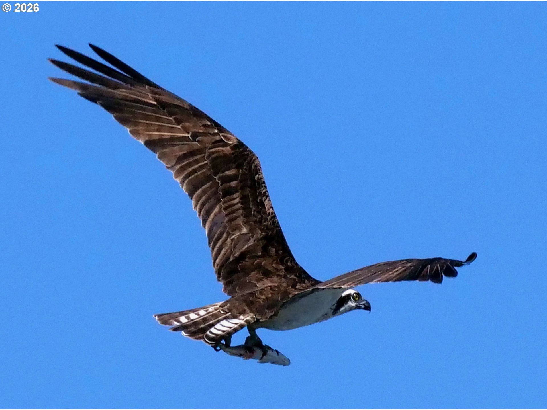 34326 Johnson's Landing Road, Unit A5 Scappoose, OR 97056 - Photo 36 of 36