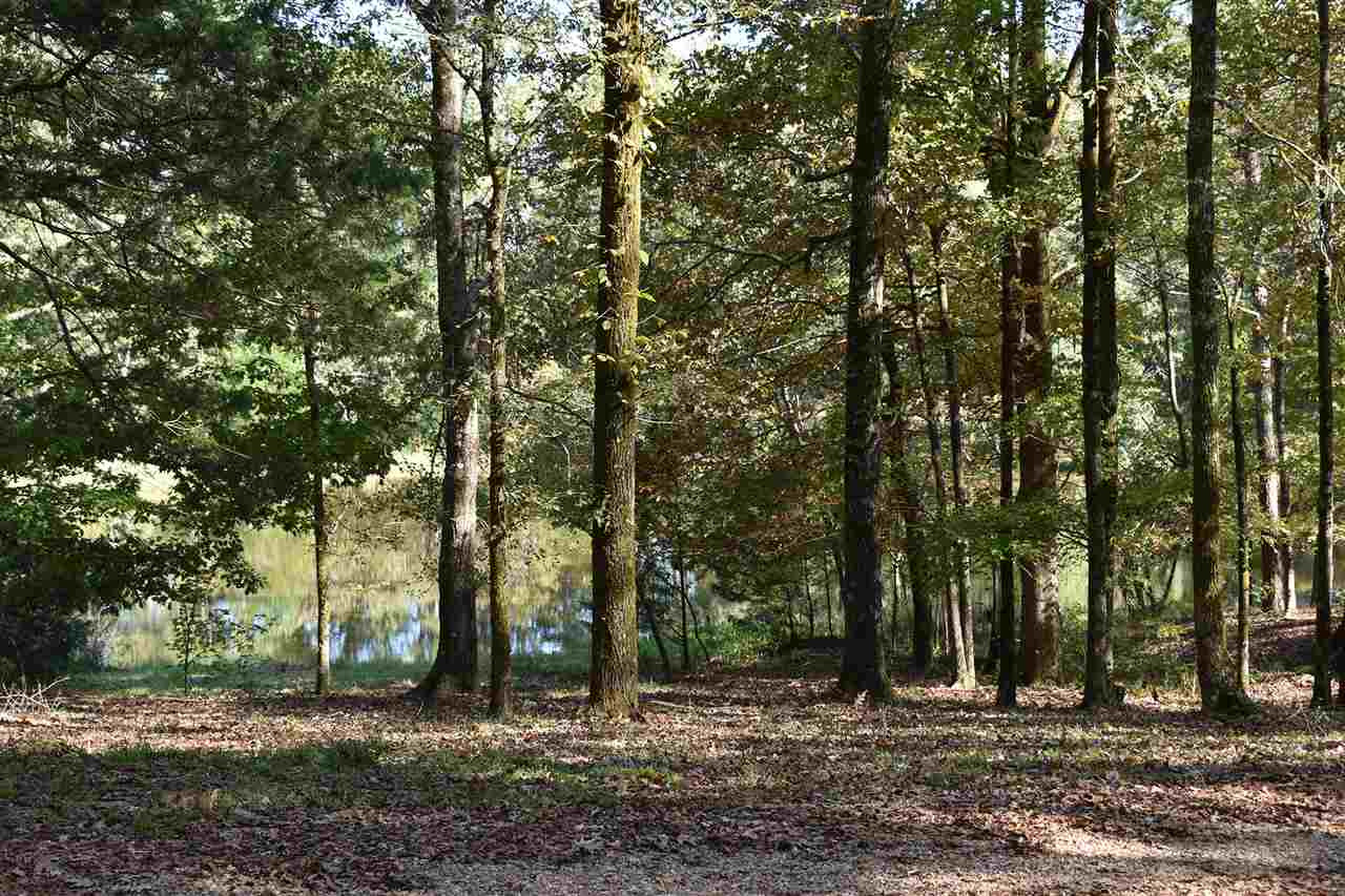 1865 Dunn Pease Road Raymond, MS 39154 - Photo 49 of 50 Photo 49