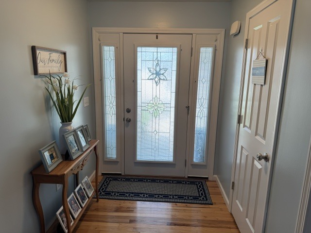318 Piazza Lane Chatham, IL 62629 - Photo 10 of 43