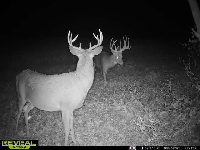 17797 Dayton Ridge Road Muscoda, WI 53573 - Photo 5 of 75