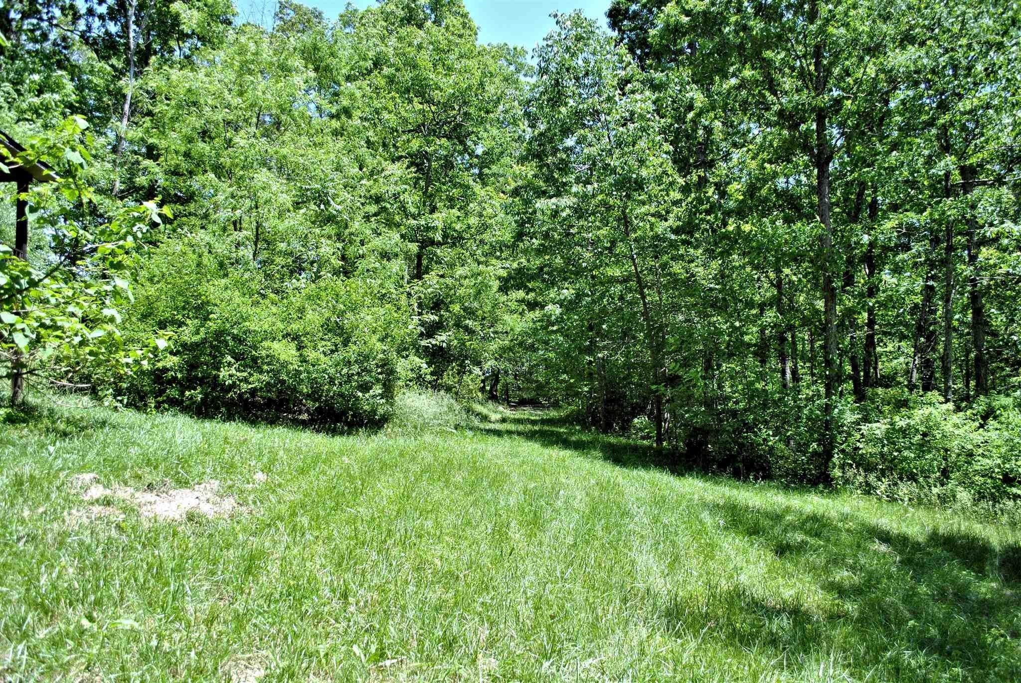 Tbd 6.816-ac Tbd 6.816-ac Hendrickson Road Ripplemead, VA 24150 - Photo 4 of 14 Gallery Image 4