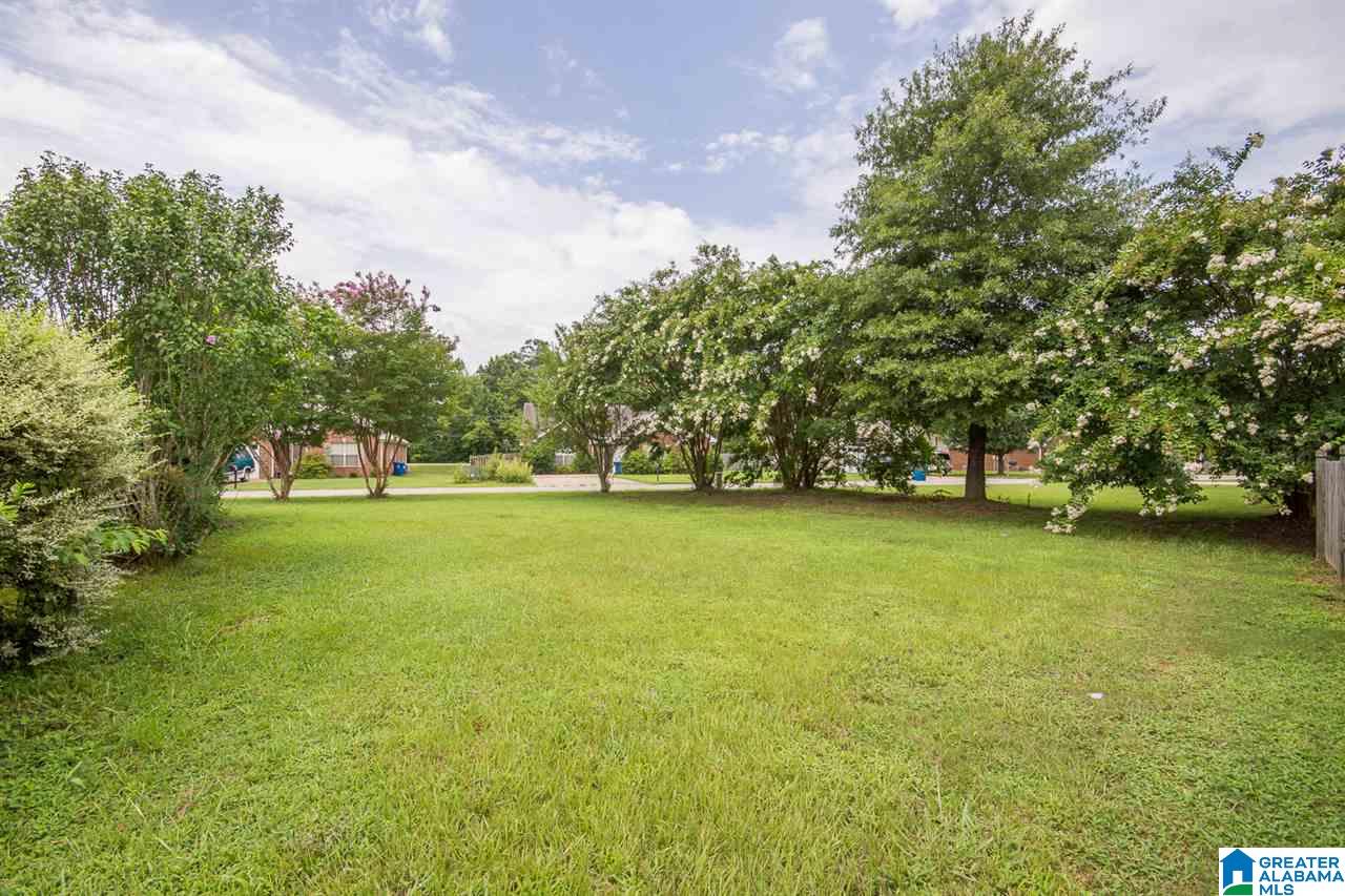 204 Hickory Point Lane Helena, AL 35080 - Photo 26 of 29