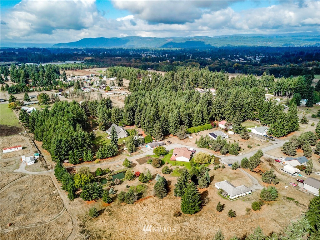 18806 Sams Place Southwest Rochester, WA 98579 - Photo 38 of 40 a view of a city