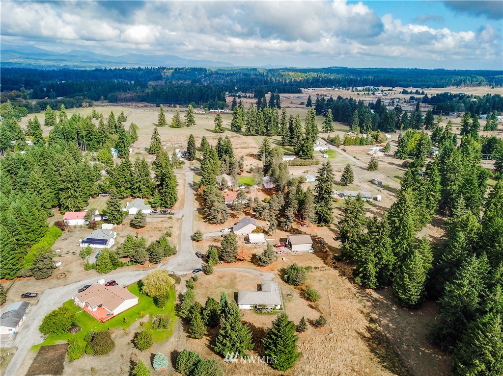 18806 Sams Place Southwest Rochester, WA 98579 - Photo 39 of 40 a view of a lake