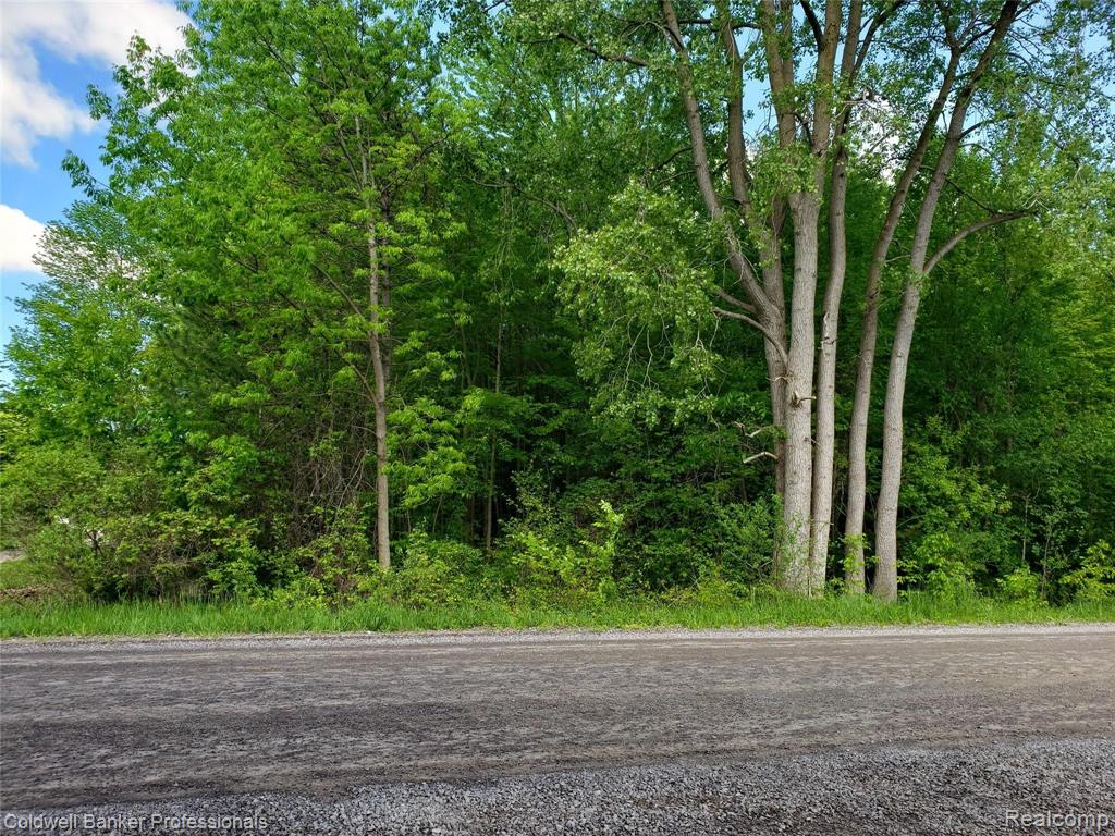 8445 Morrish Road Flushing, MI 48433 - Photo 6 of 11