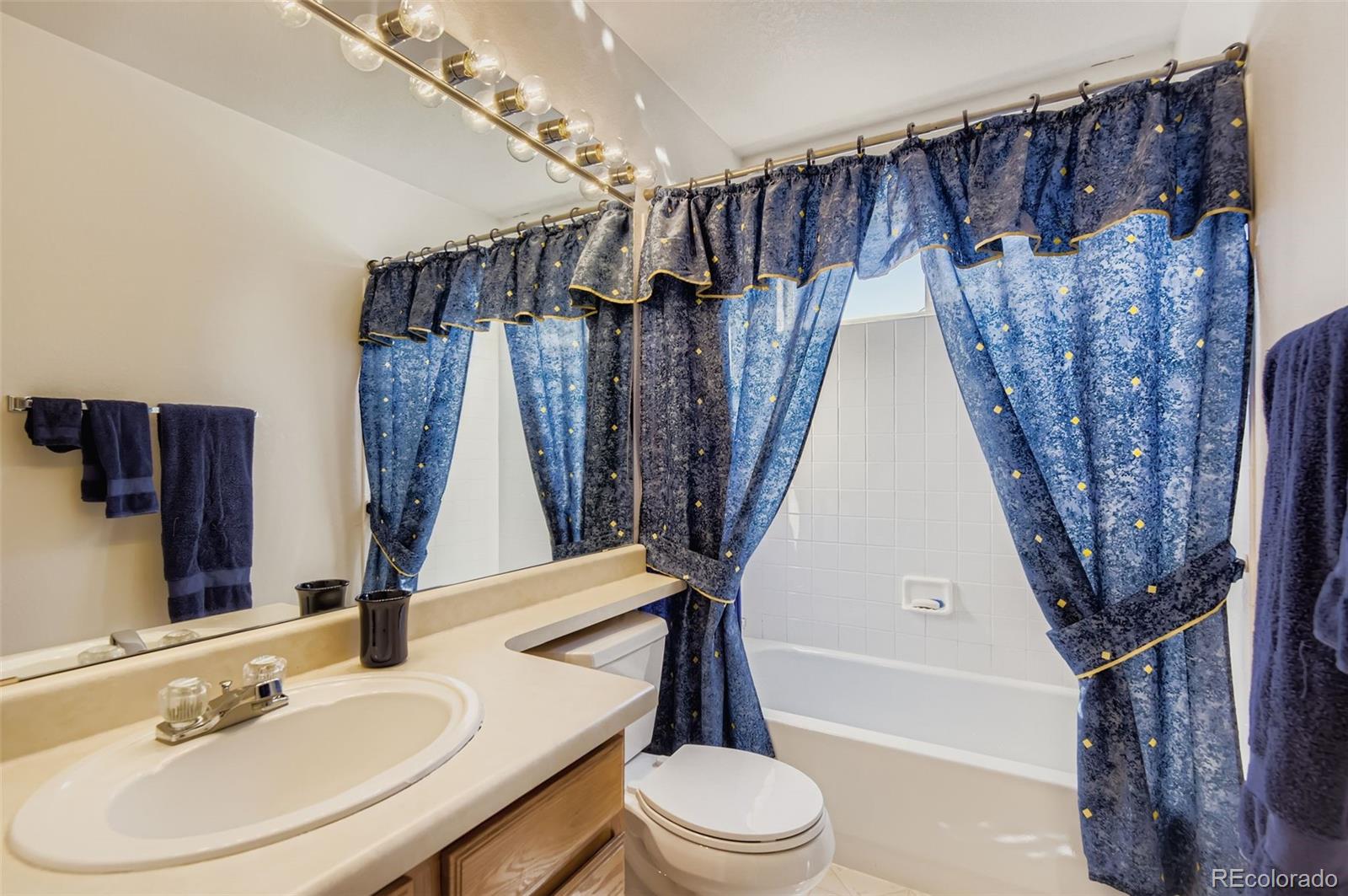 9711 Bucknell Way Highlands Ranch, CO 80129 - Photo 22 of 34 Gallery Image 22