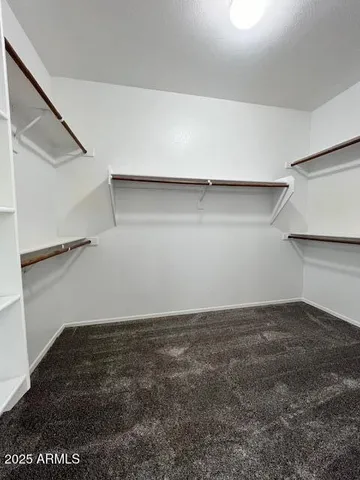 a view of a yard with potted plants