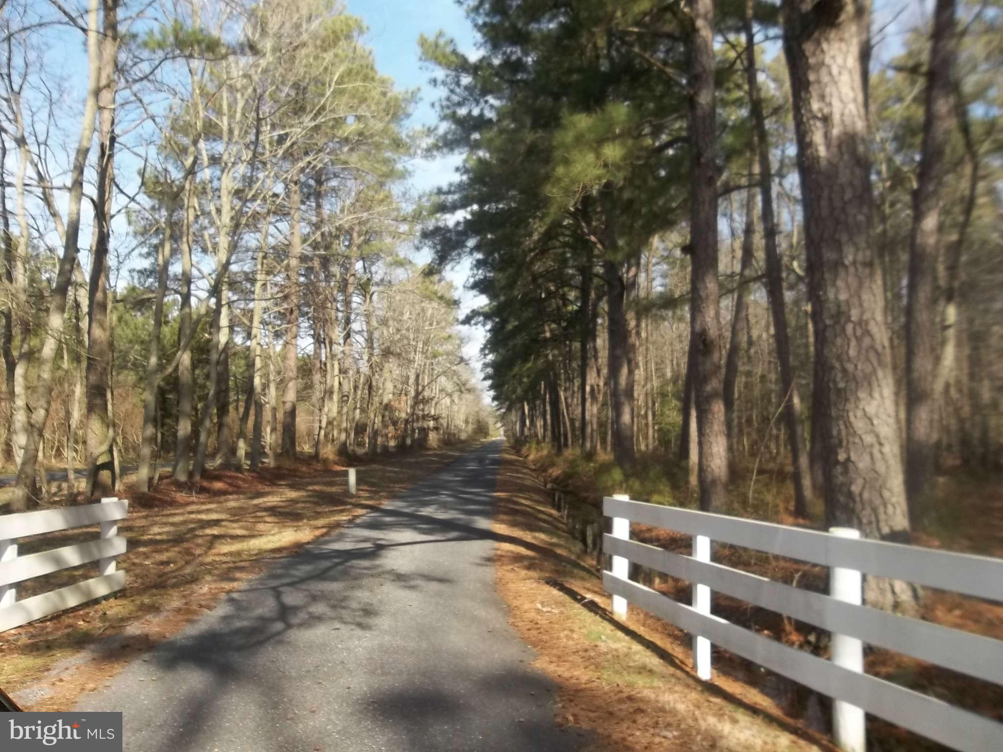 3896 Clora Dorsey Road Trappe, MD 21673 - Photo 16 of 17 Exterior (General)