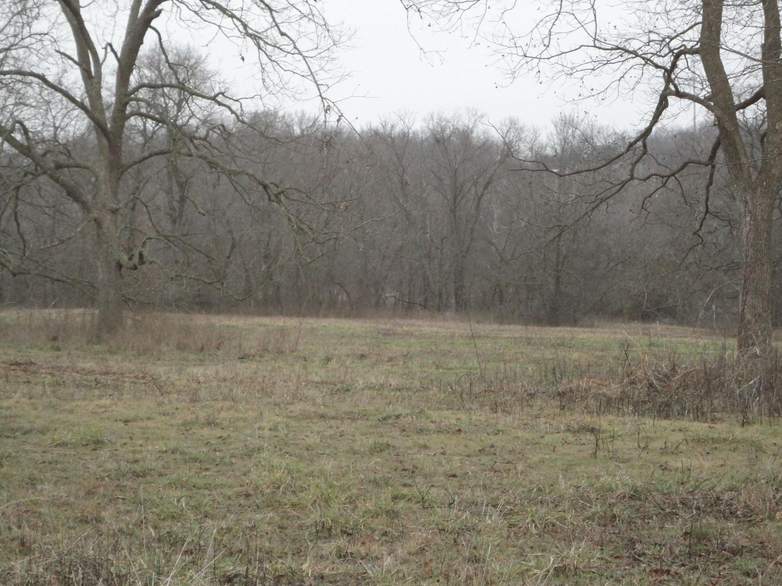 62185 East 270 Road Grove, OK 74344 - Photo 5 of 21 DSC03332