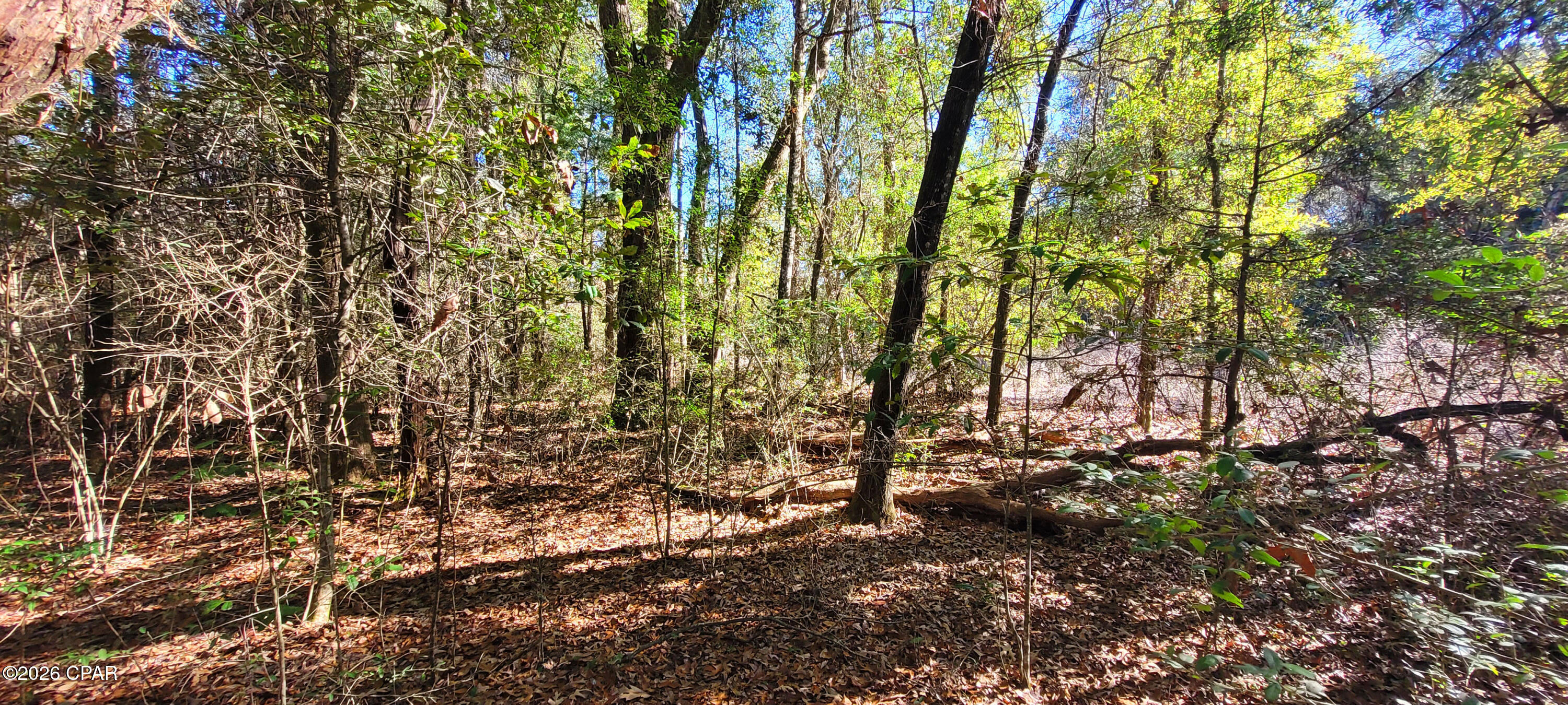 Lot 2 Oscar Road Greenwood, FL 32443 - Photo 17 of 19