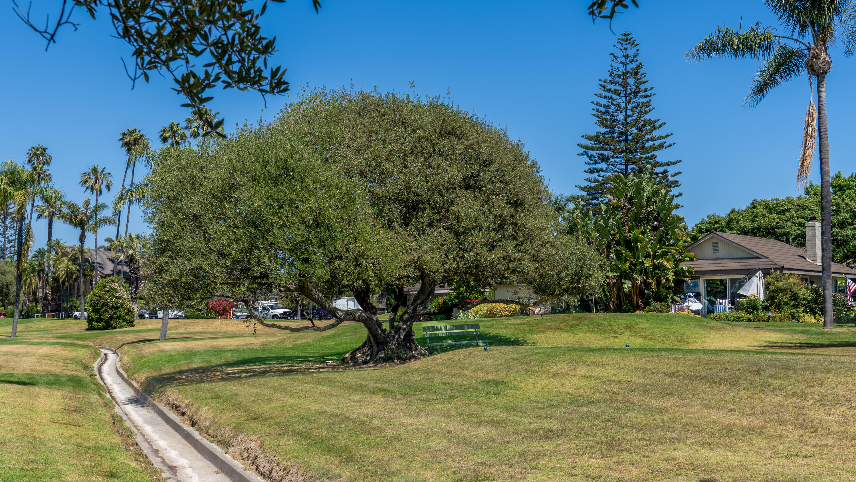 247 Moreton Bay Lane, Unit 1 Goleta, CA 93117 - Photo 11 of 20 008-017-Exterior_Landscape_E02 copy