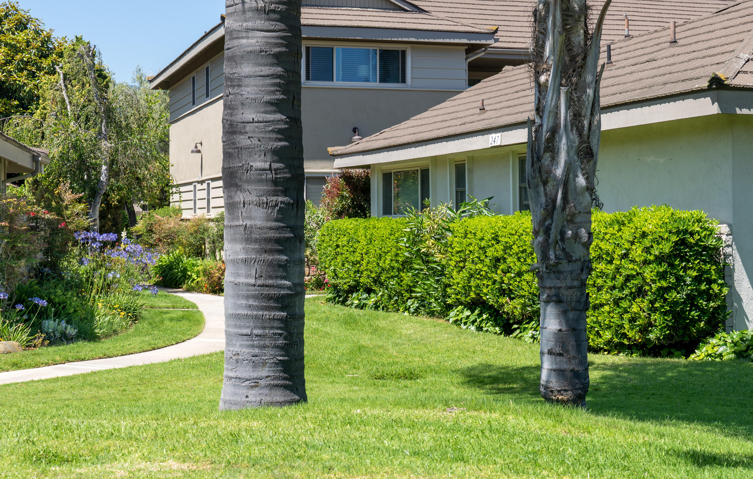 247 Moreton Bay Lane, Unit 1 Goleta, CA 93117 - Photo 12 of 20 003-015-Exterior_Sidewalk_E01 copy