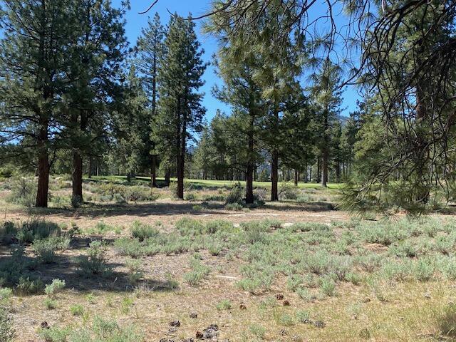 3541 Golf Club Drive, Unit 1 Carson City, NV 89705 - Photo 2 of 40 a view of outdoor space with trees