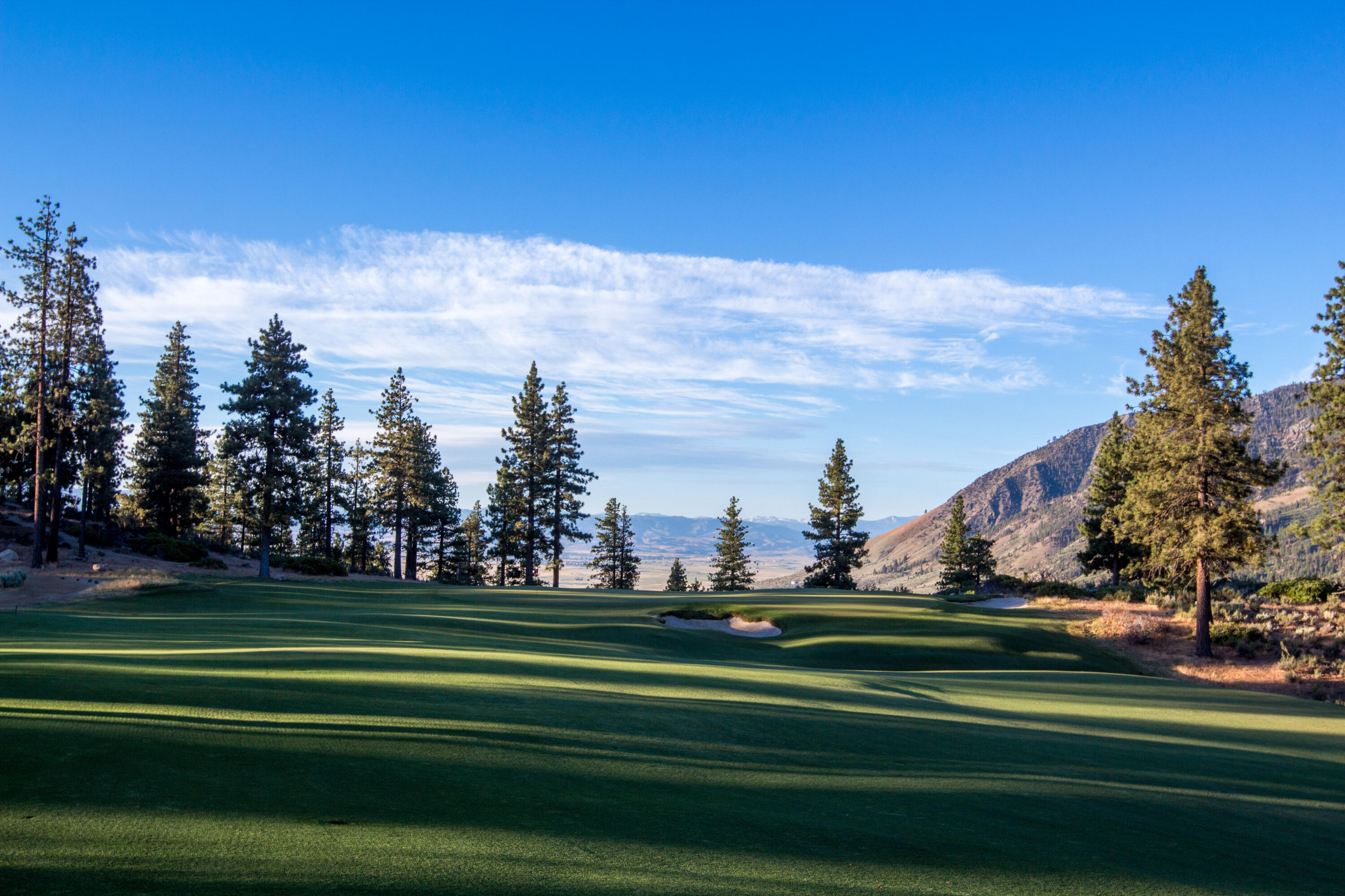 3541 Golf Club Drive, Unit 1 Carson City, NV 89705 - Photo 22 of 40 a green field with lots of trees in the background