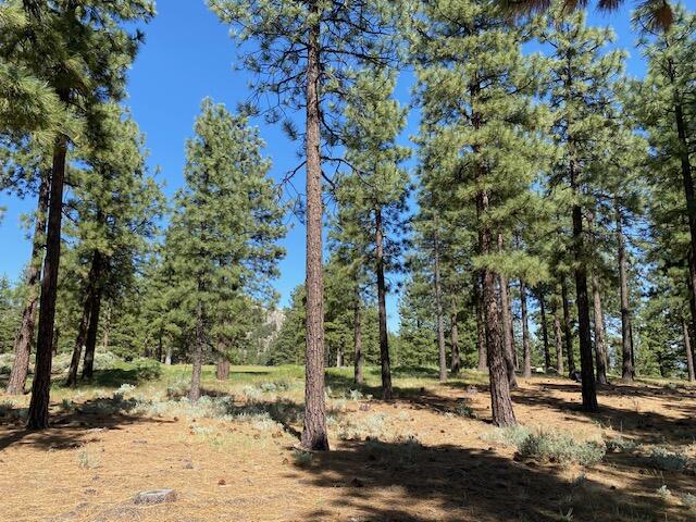 3541 Golf Club Drive, Unit 1 Carson City, NV 89705 - Photo 4 of 40 a view of a yard with trees