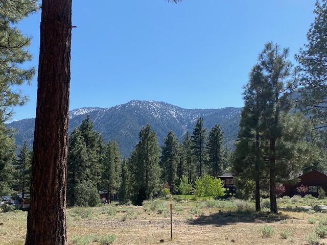 3541 Golf Club Drive, Unit 1 Carson City, NV 89705 - Photo 5 of 40 a view of a yard with a tree