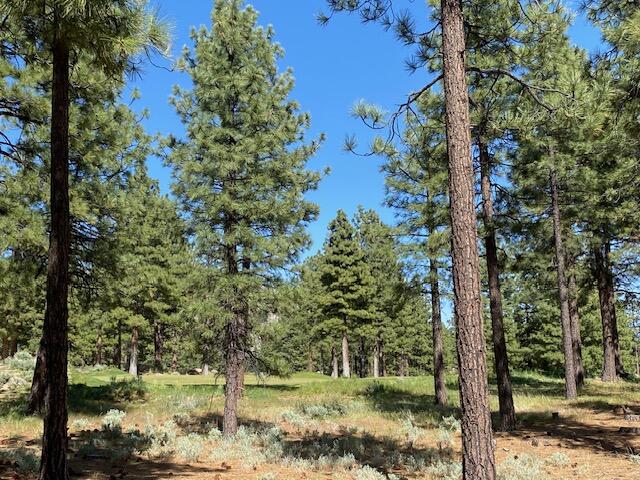 3541 Golf Club Drive, Unit 1 Carson City, NV 89705 - Photo 6 of 40 a view of a tree in a yard