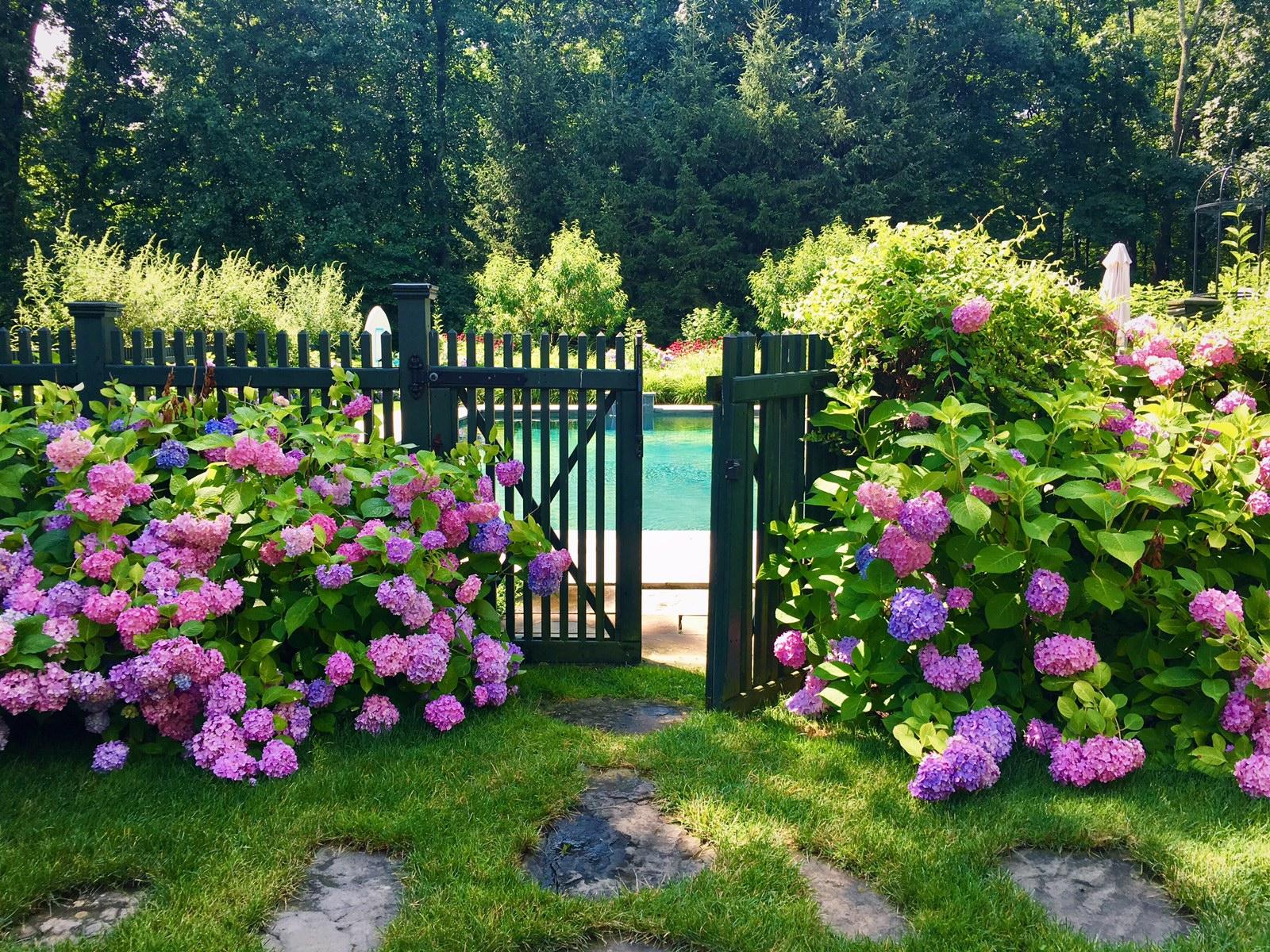 507 Silvermine Road New Canaan, CT 06840 - Photo 4 of 40 a view of a flower in a yard