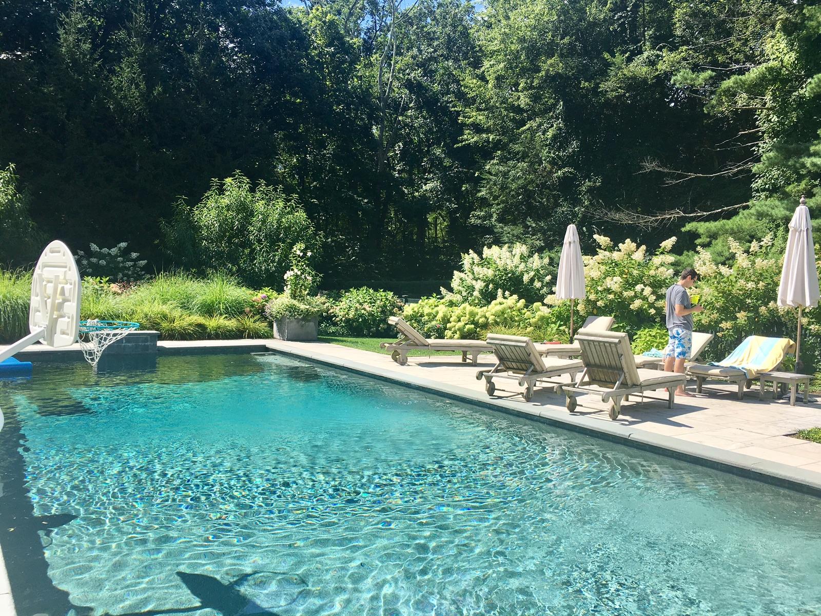 507 Silvermine Road New Canaan, CT 06840 - Photo 7 of 40 a view of a swimming pool with a patio and garden