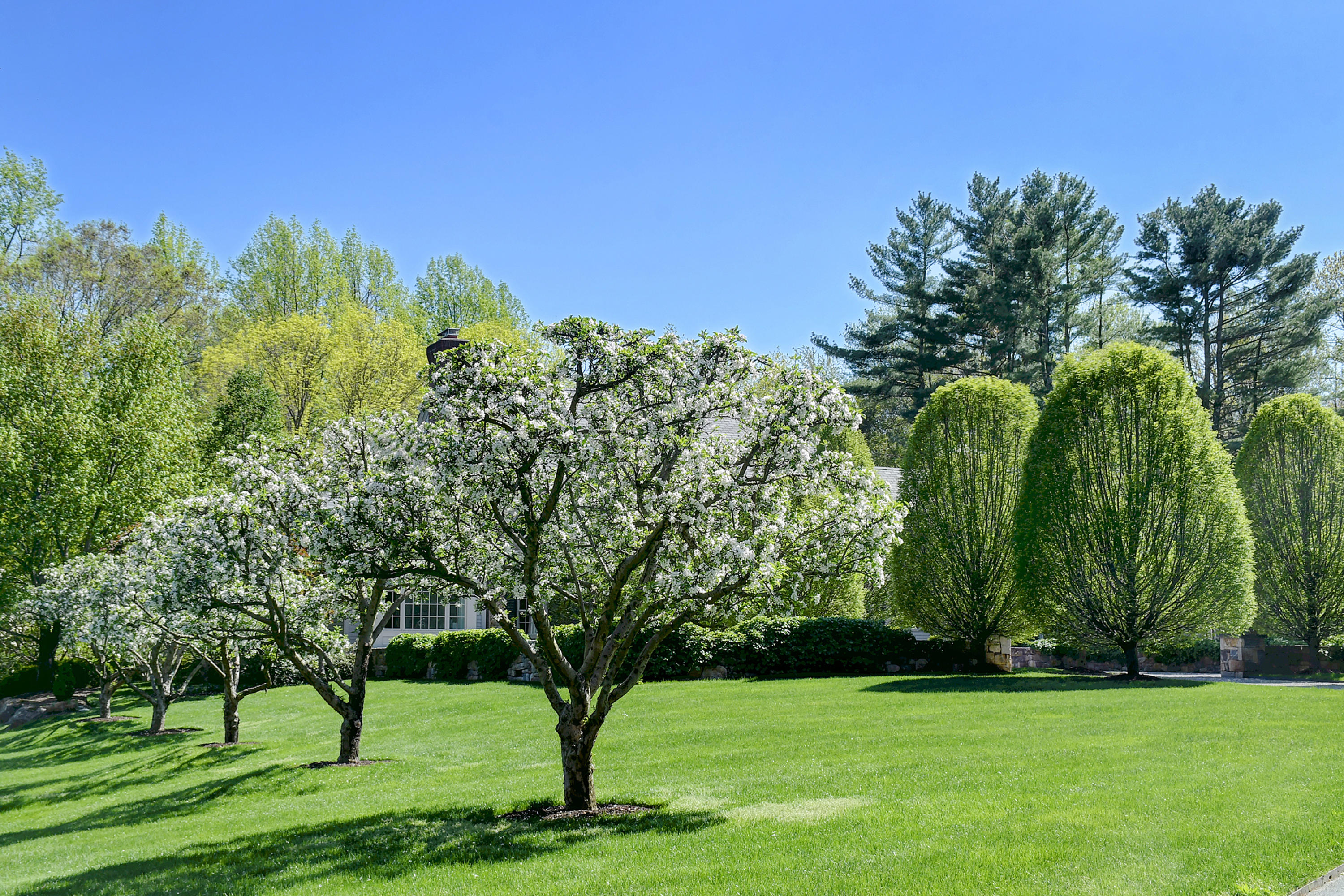 507 Silvermine Road New Canaan, CT 06840 - Photo 10 of 40 a view of a park with a tree in the background