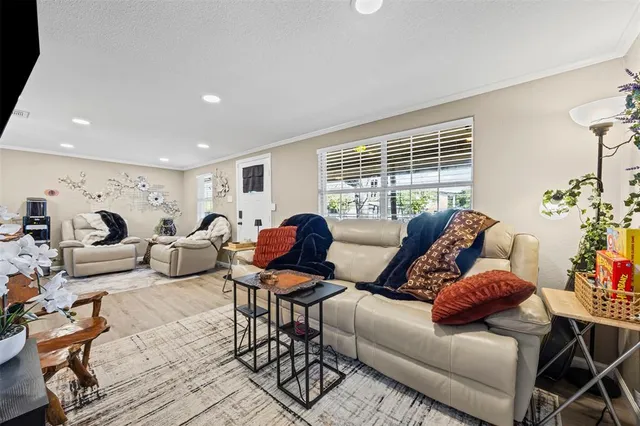 a living room with furniture potted plant and a window
