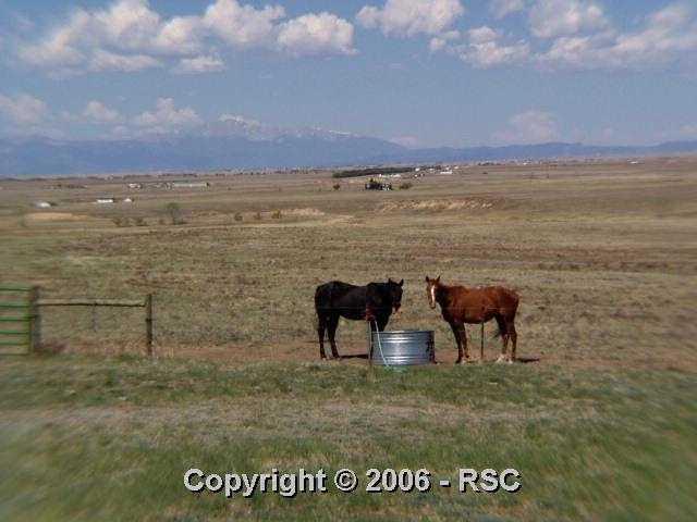 10880 Guthrie Road Calhan, CO 80808 - Photo 8 of 16 Gallery Image 8