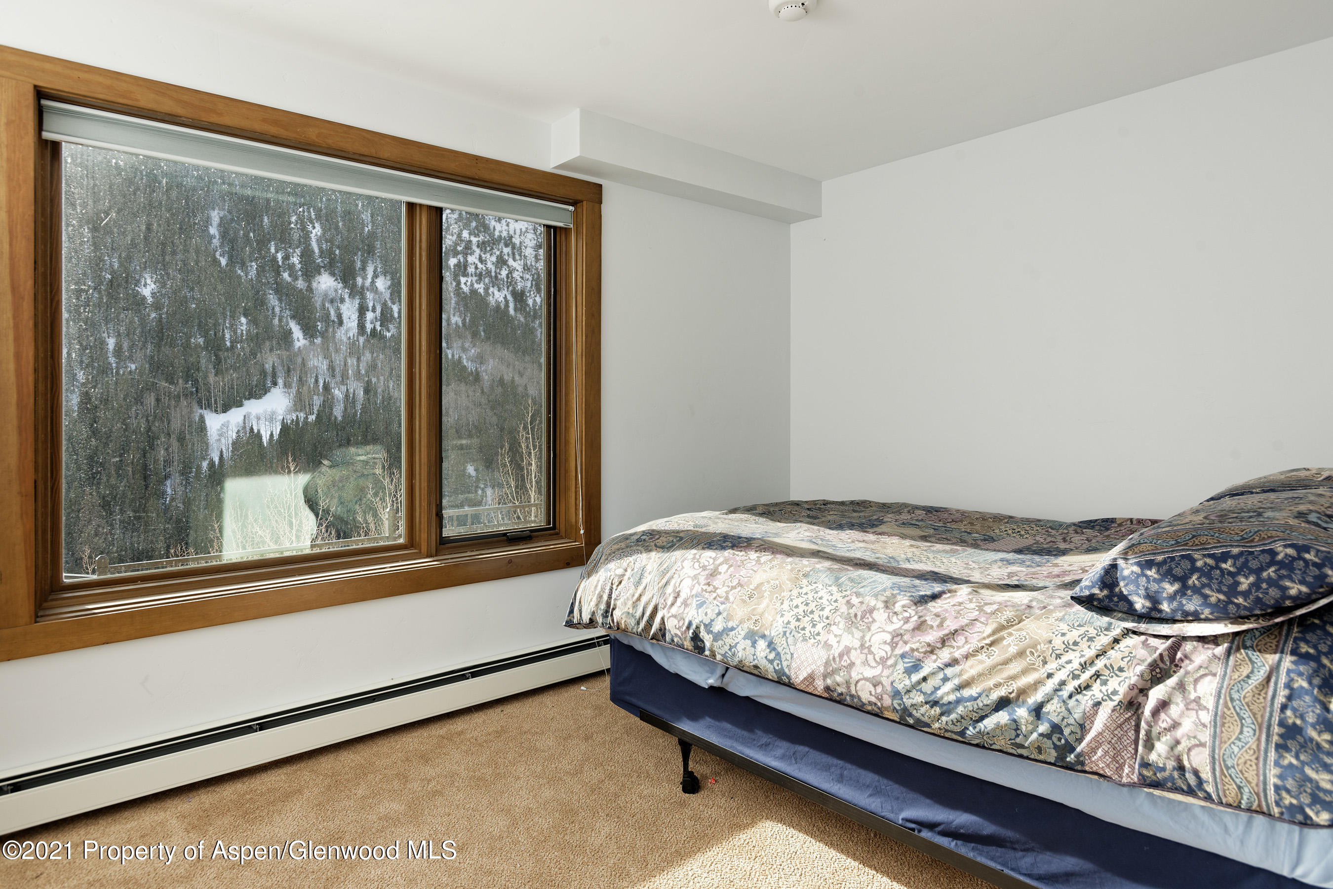 7200 Castle Creek Road Aspen, CO 81612 - Photo 17 of 28 7200CastleCr_DASH210208010