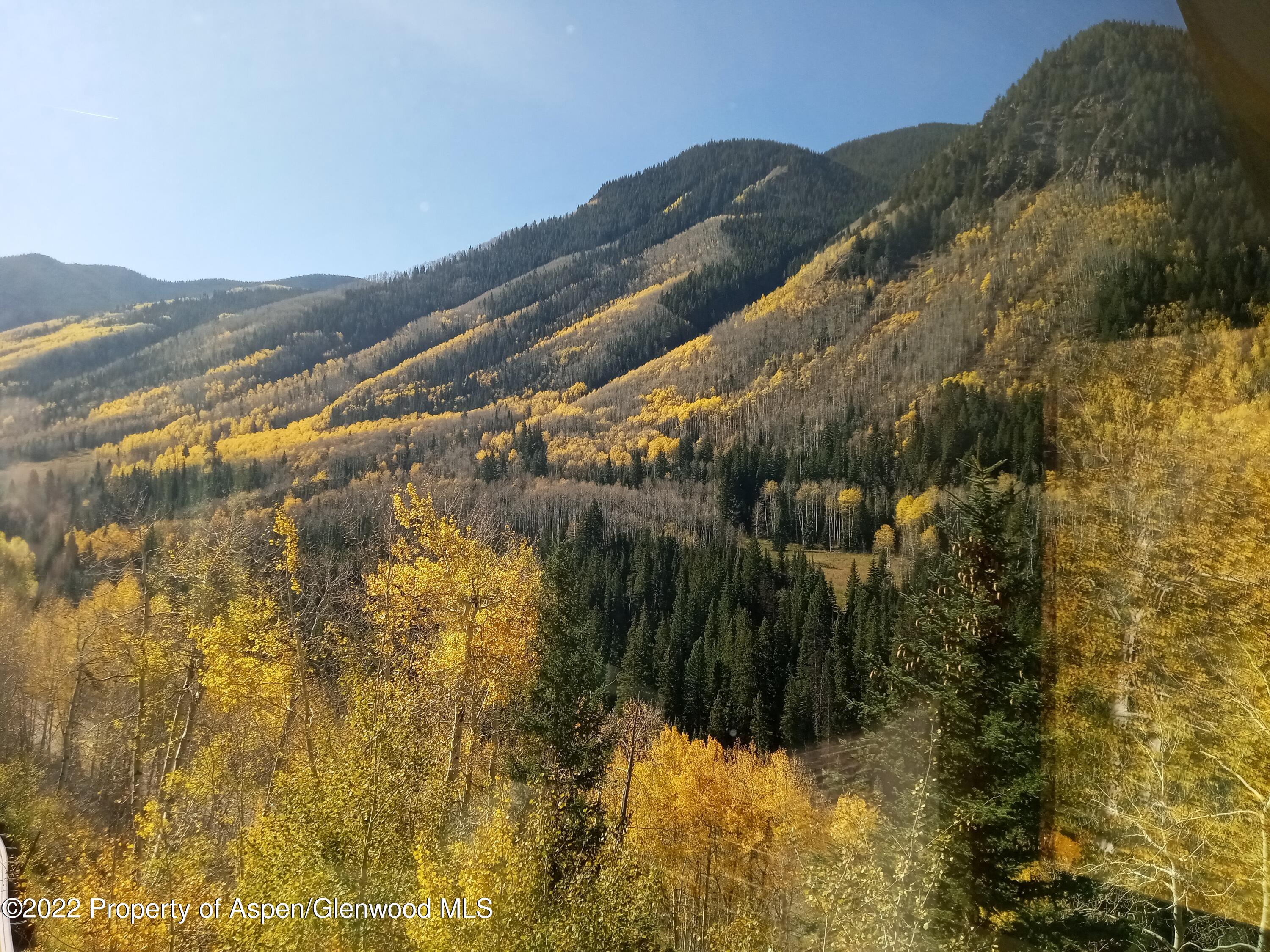 7200 Castle Creek Road Aspen, CO 81612 - Photo 22 of 28 20221013_105503