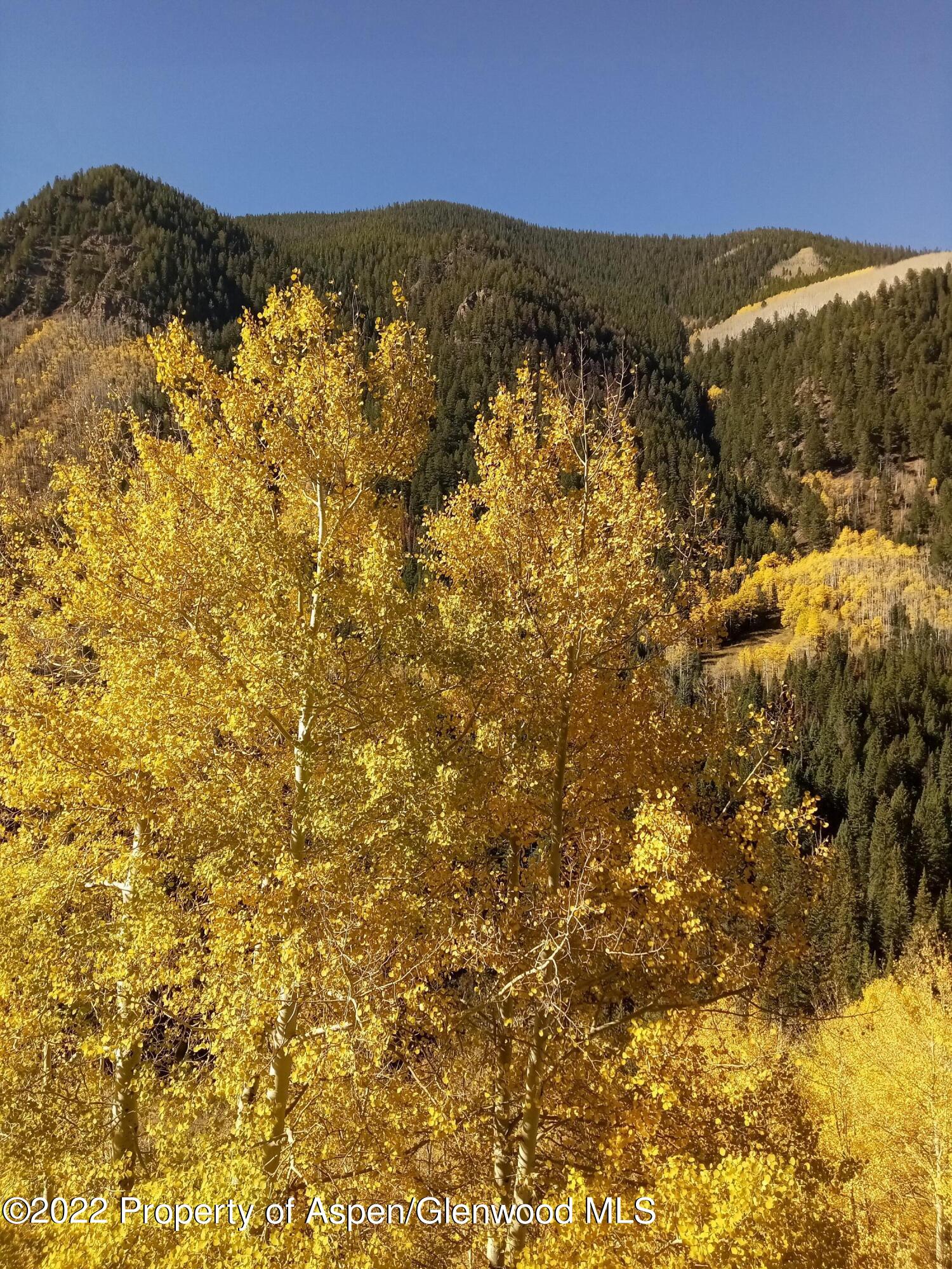 7200 Castle Creek Road Aspen, CO 81612 - Photo 25 of 28 20221013_105723
