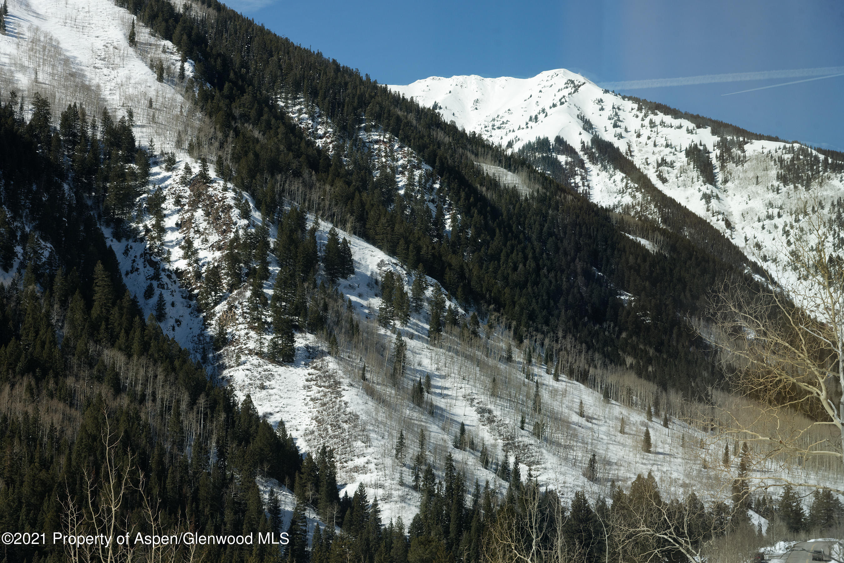7200 Castle Creek Road Aspen, CO 81612 - Photo 26 of 28 7200CastleCr_DASH210208024