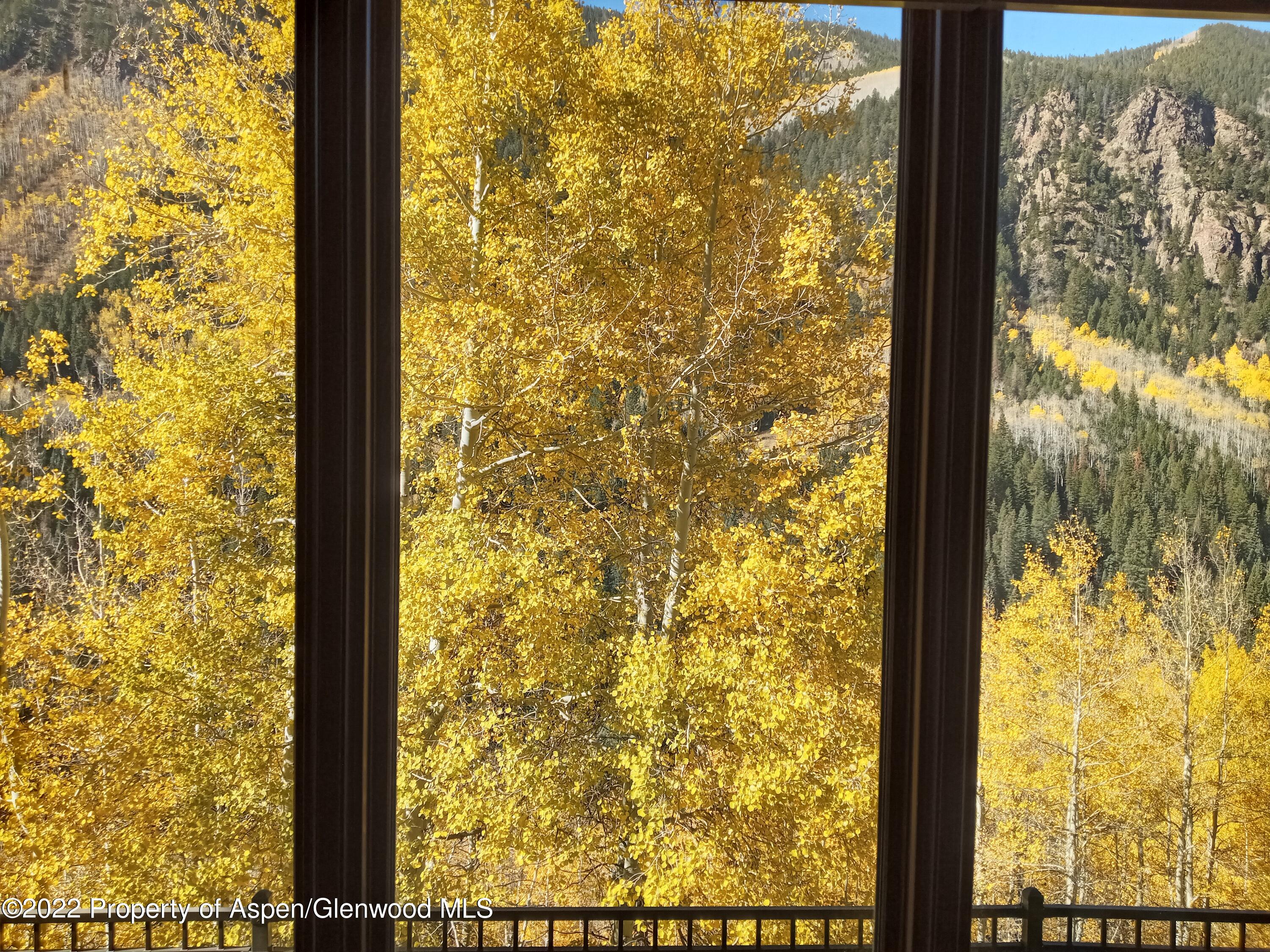 7200 Castle Creek Road Aspen, CO 81612 - Photo 5 of 28 20221013_105022