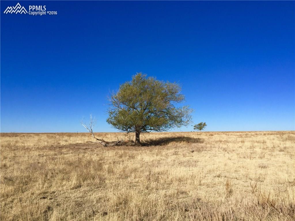 41250 Big Springs Road Rush, CO 80833 - Photo 1 of 16 Gallery Image 1