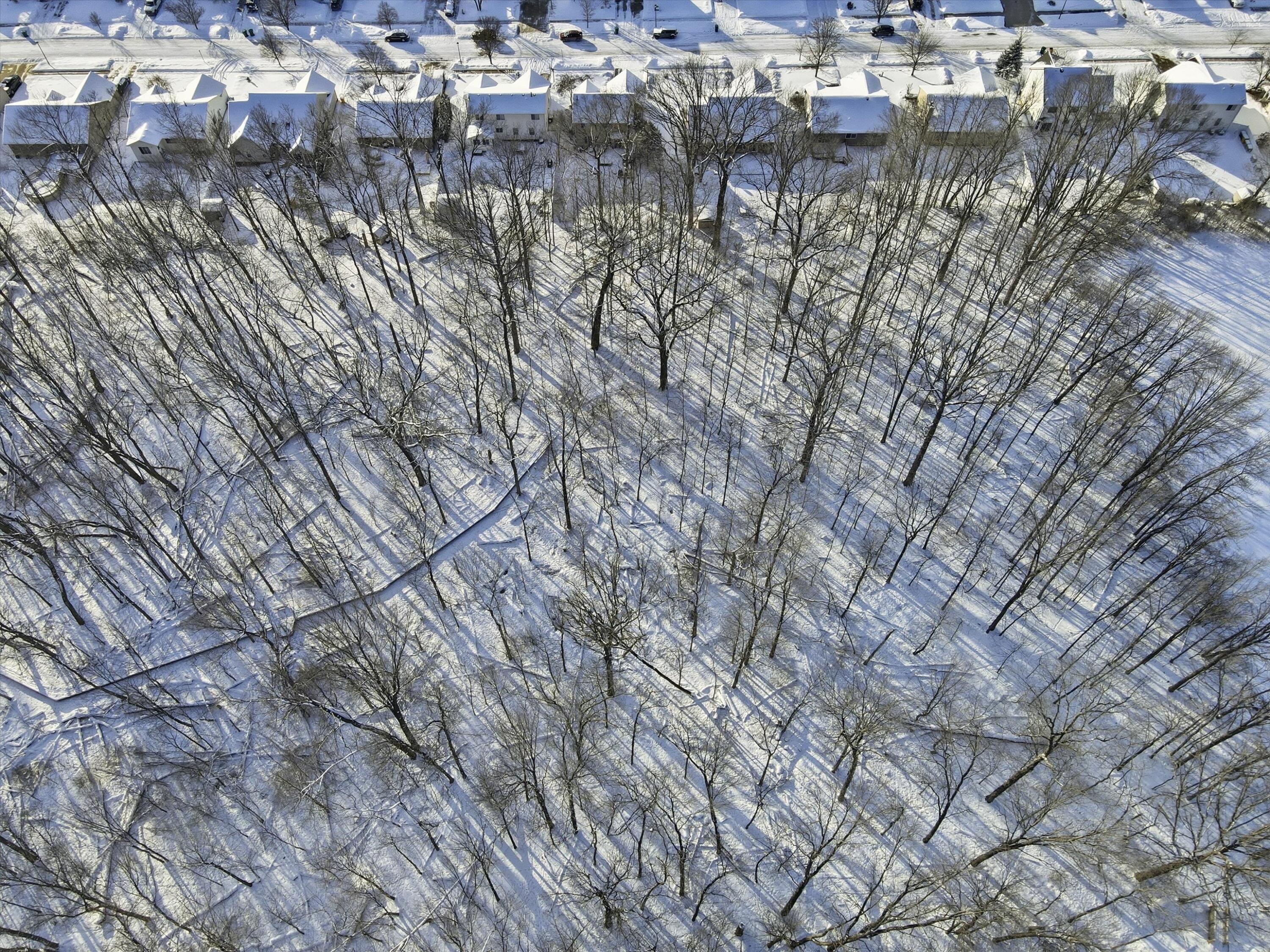 73986 Madison Street Armada, MI 48005 - Photo 36 of 38 05-DJI_0798