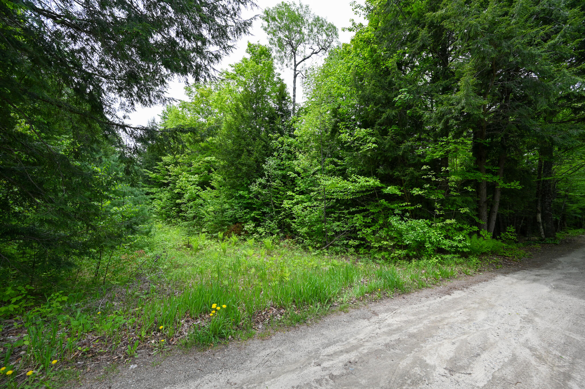 Lot 16 Old Towle Road Dixfield, ME 04224 - Photo 10 of 14 View from road
