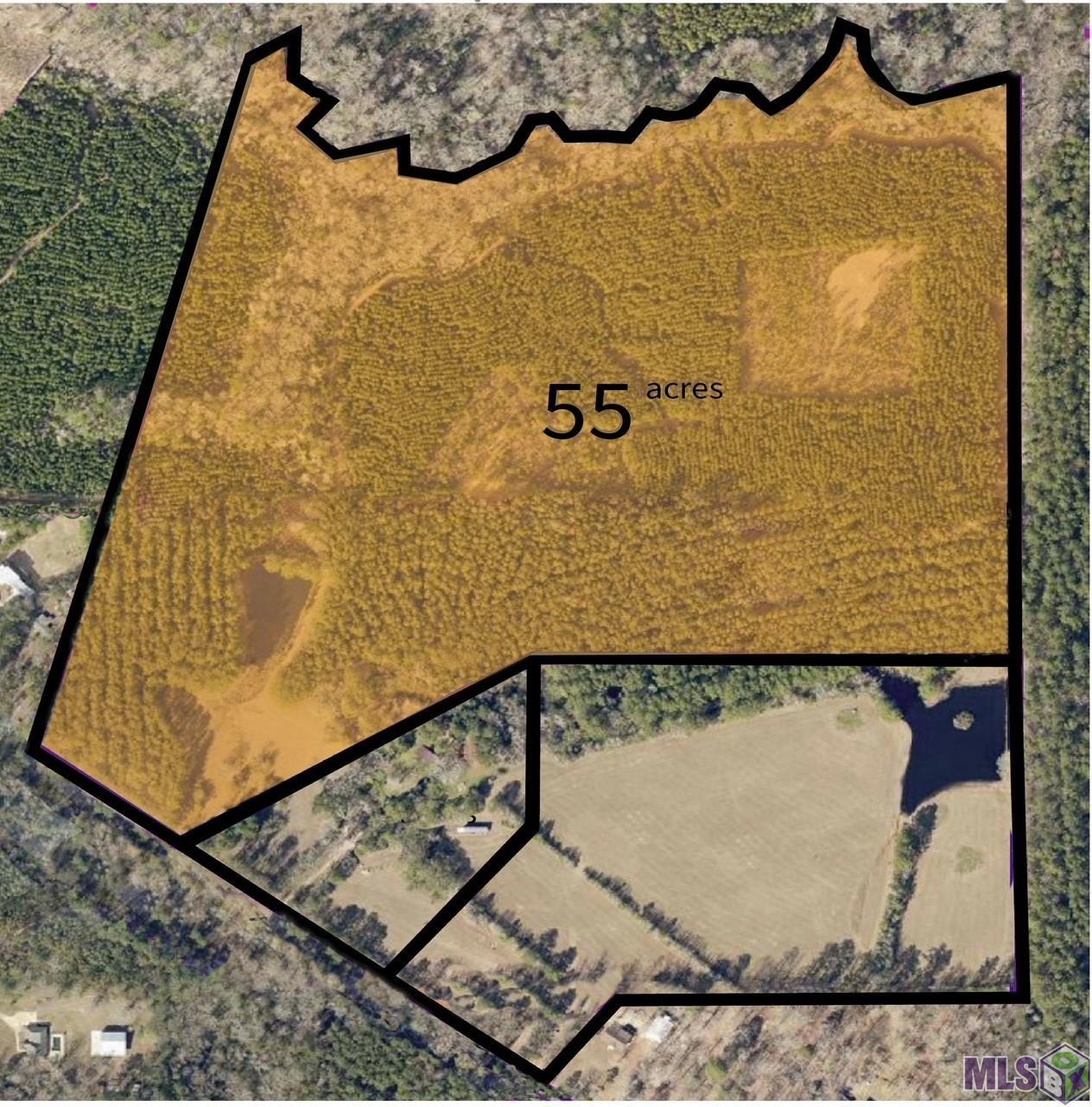 2 La Highway Clinton, LA 70722 - Photo 3 of 4