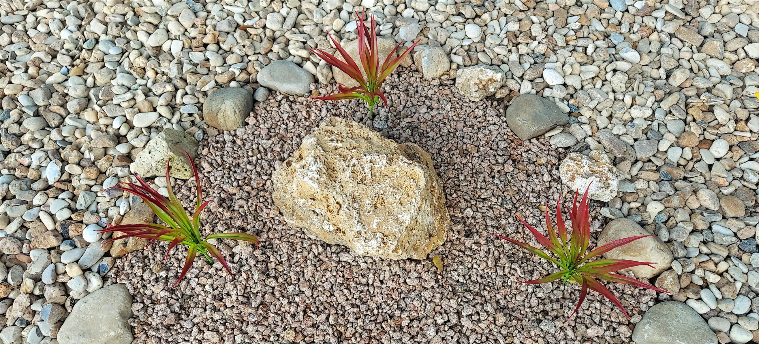 17609 Soapberry Cove Elgin, TX 78621 - Photo 34 of 38 a picture of a bathroom with a shower curtain