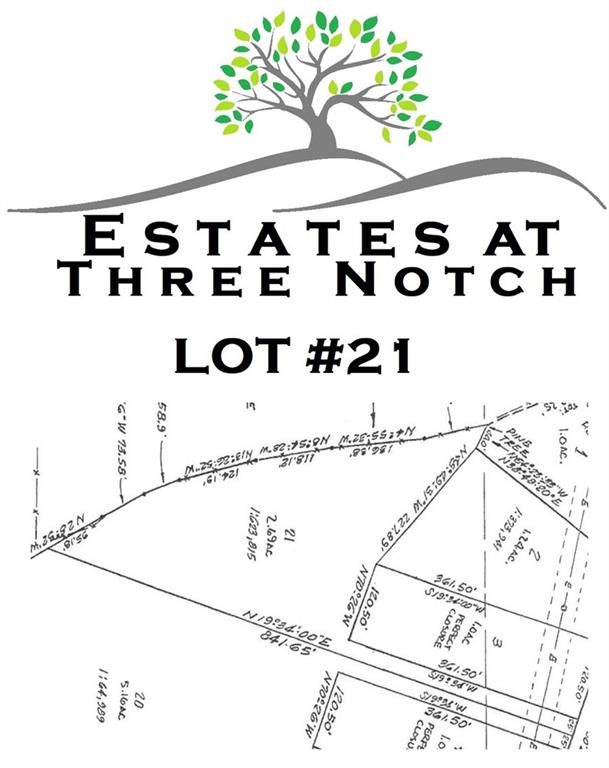 3013 Three Notch Road Ringgold, GA 30736 - Photo 1 of 1 Gallery Image 1