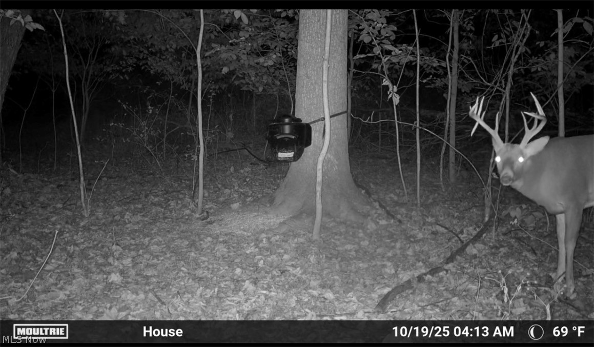 10799 Seminary Road Kimbolton, OH 43749 - Photo 46 of 46 Gallery Image 46