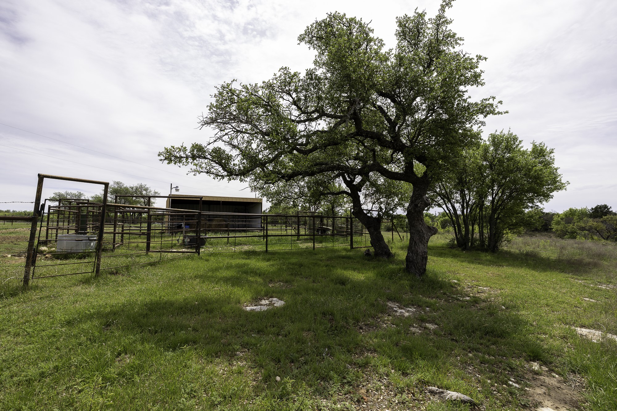 525 Jack Rabbit Circle Zephyr, TX 76890 - Photo 24 of 37