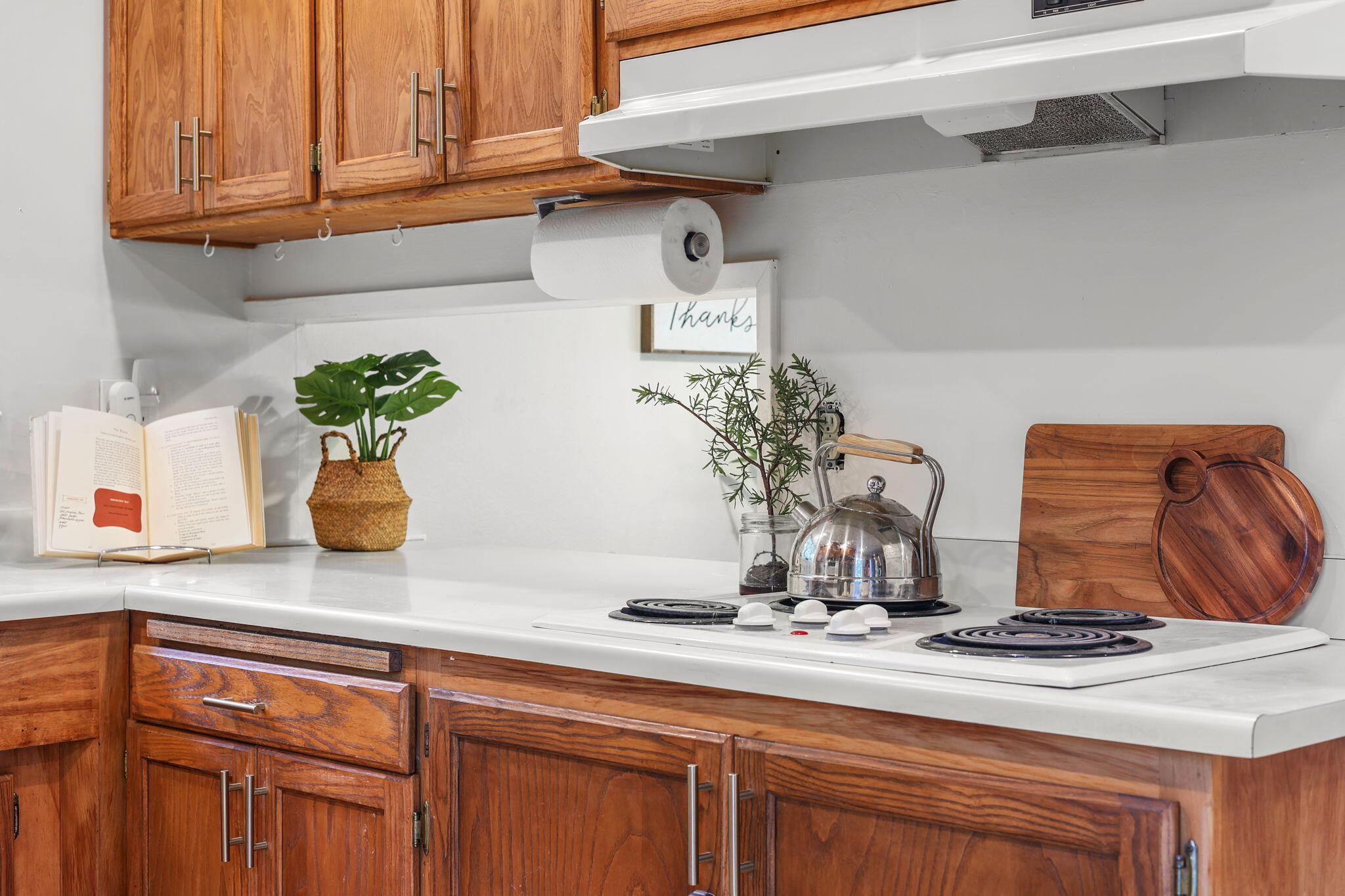 755 Christine Avenue Redding, CA 96003 - Photo 31 of 58 a kitchen with a sink and potted plant