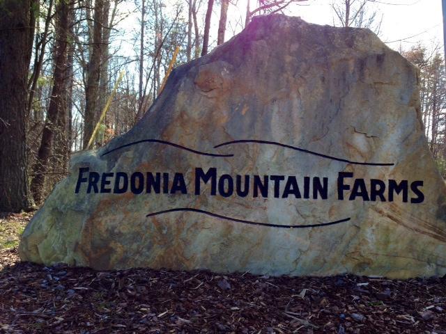 26 Fredonia Farm Road Dunlap, TN 37327 - Photo 7 of 10 FMF photo.jpg