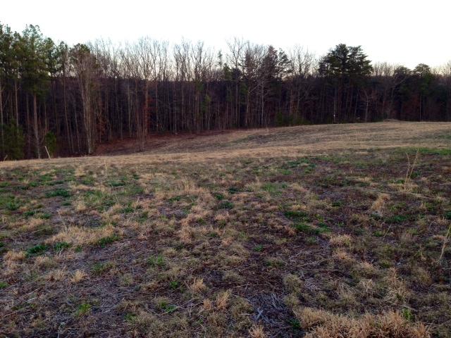 26 Fredonia Farm Road Dunlap, TN 37327 - Photo 8 of 10 photo 3.JPG