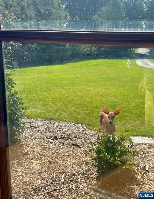 64 Stoney Ridge Road Saddle River, NJ 07458 - Photo 27 of 33