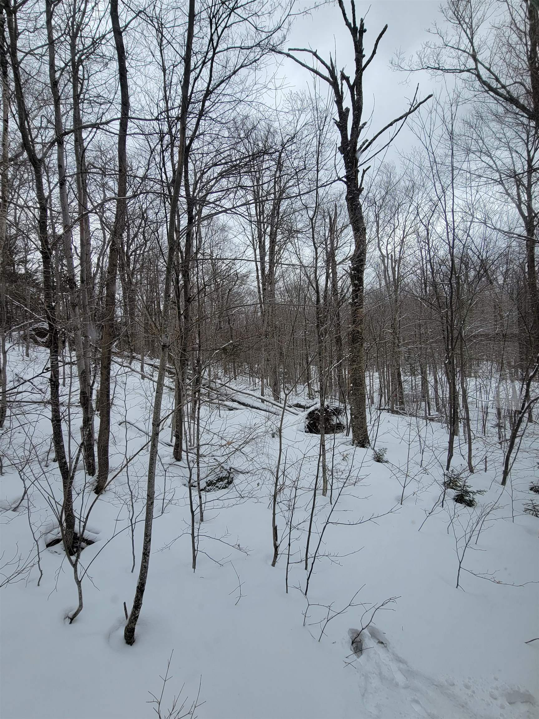 845 Bailey Hill Road Readsboro, VT 05350 - Photo 21 of 45